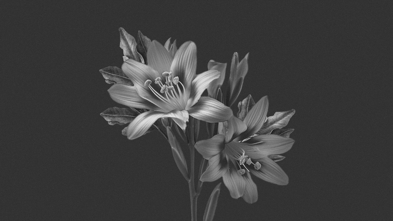 Dynamic picture with multi photos and images in grayscale color.